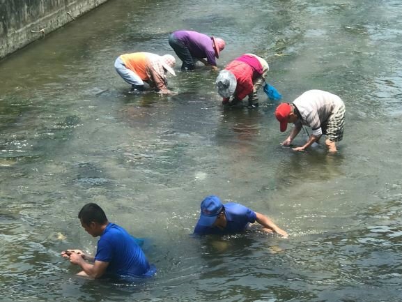 外埔區大甲溪畔生態空間景色優美是休閒最佳戶外場地