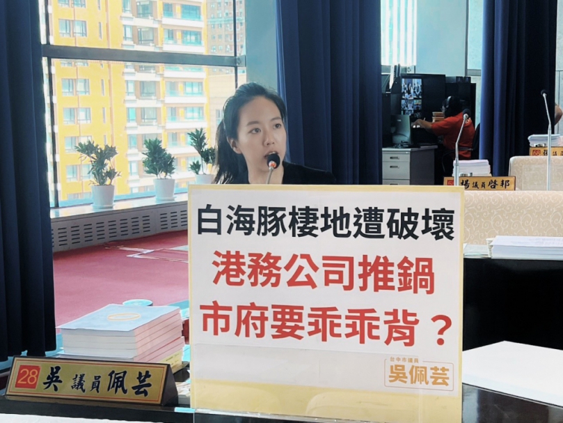 台中港填海造陸涉白海豚棲地　台中市議員吳佩芸籲市府應拒背鍋、完成審查再施工