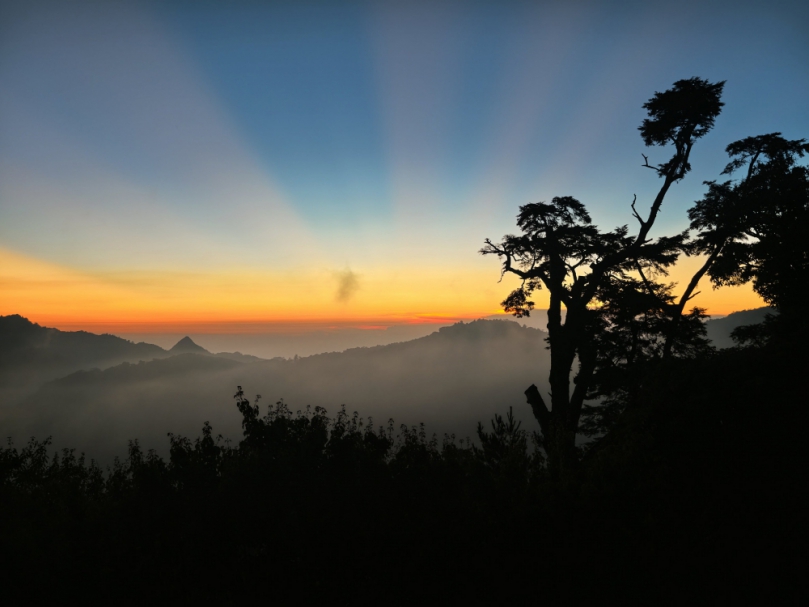 雙十連假慢旅首選！八仙山、大雪山國家森林遊樂區享半票優惠邀您擁抱秋日森林饗宴