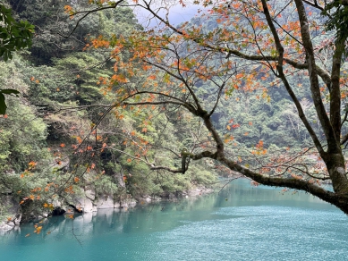 春意漸濃 百花怒放 歡迎共遊北臺灣國家森林遊樂區
