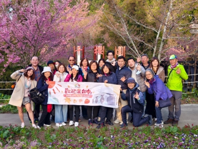 賞櫻、泡湯、踏青走步道!春季旅遊首選中台灣山林秘境