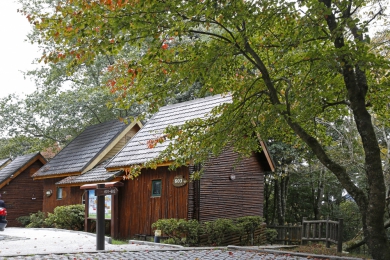 大雪山國家森林遊樂區住宿及餐飲促參委外,預計年底全區提供優質服務體驗