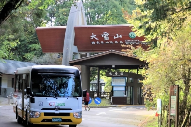 漫步雲霧森林搭公車就行！春夏限定「台中Go大雪山螢火蟲季」4/20開跑