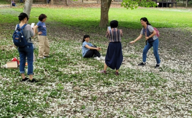 古坑四月雪浪漫桐花祭登場 桐花與黑咖啡交織百年記憶