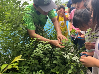 新竹林業分署推動「小小綠手指2.0」 保育受脅植物擴大繁衍