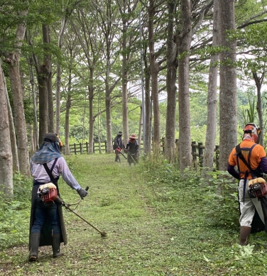 雜草別來亂！新竹市啟動公園加強割草維護作業