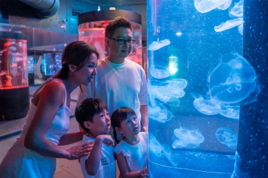 暑假最終優惠　最狂學生票0元起