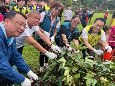 竹山鎮洛神花季登場 體驗農樂採摘與風味饗宴