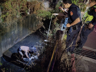 毛小孩浪浪跌落3米深水溝清水警方與大學生黑暗中聯手救援