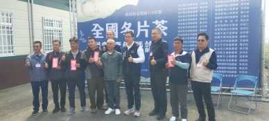 名間鄉冬片茶大賽20周年！全國製茶高手齊聚一堂 展現傳統茶藝之美