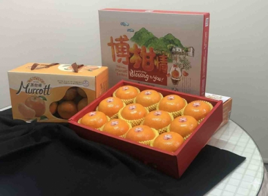 柑橘之王茂谷柑春節送禮自用兩相宜