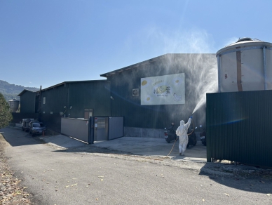 豐原蛋雞場禽流感個案  中市府成立前進指揮所、完成消毒並將依法撲殺及開罰