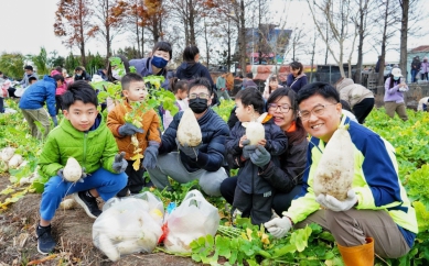 議員楊典忠二度舉辦拔蘿蔔活動吸引二千人熱鬧參與