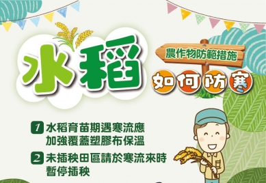 低溫來襲   楊文科提醒農民做好防寒害措施