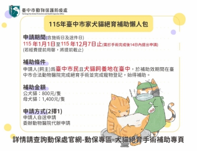115年中市家犬貓絕育補助開放受理申請  動保處：經費有限請盡早申請