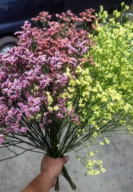 不易凋謝水晶花　送情人表達愛情長長久久　最好的浪漫禮物