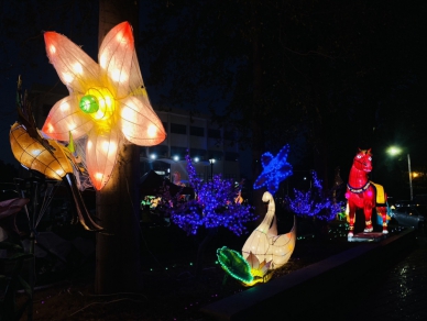 元宵燈會點亮北港　傳統工藝再創高峰