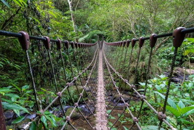 馬年走新竹縣3條「馬」道   龍馬精神一整年！