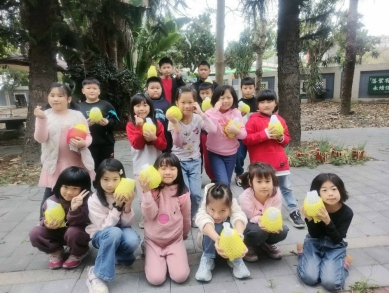 大安區農會推動食農教育　鳳梨釋迦進校園   分享臺灣農產好滋味