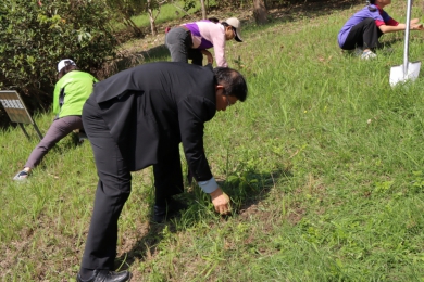 守護紫斑蝶遷徙路徑　劍湖山與成功國小共植66株蜜源植物
