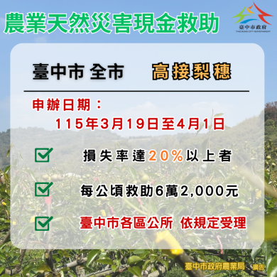 中市高接梨穗災損補助  即日起至4月1日受災農民可申請現金救助