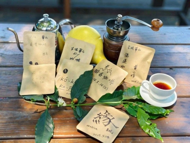 華山咖啡花綻放如三月雪　閨蜜手作體驗活動吸客搶拍