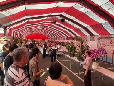 2026春季蘭花評鑑競賽   花農洪長勇獲全場總冠軍