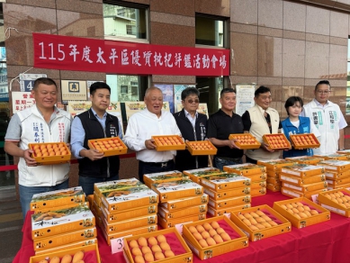 2026太平枇杷評鑑爭霸戰  口感甜度等李昌基和柯辰宏枇杷王