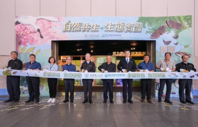 台中飛日韓拓展新航線！星宇、真航、虎航三家齊發