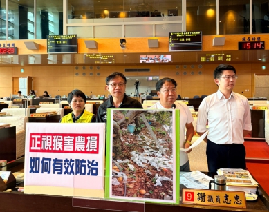正視猴害農損  民進黨台中市議員謝志忠、王立任、張玉嬿、黃守達要求中市儘速擬出有效防治的對策，朝向人猴共好的方向邁進