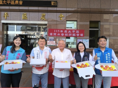 太平區優質水蜜桃果品評鑑競賽   農友柯聰明勇奪冠軍成為平地水蜜桃達人