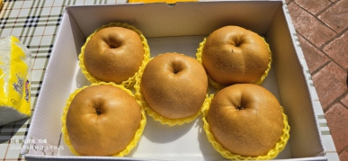 台中市后里區迎來年度農業盛事、115年台中市后里區各界慶祝農民節暨甘露梨評鑑頒獎活動、於今（12）日假眉山福安宮廣場盛大展開、現場香氣四溢、不僅有對地方農業貢獻卓越的農民表揚儀式、更有農會精心籌備的米食品嚐大會、讓參與民眾在慶祝豐收的同時、也能細細品味在地稻米的醇厚口感、活動氛圍熱烈非凡、展現了台中后里區深厚的農業底蘊與農民的堅韌生命力。