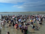 2024臺南七股海鮮節 今日開幕 觀光赤嘴園挖文蛤吸引近3千人參與 親子同樂迎接暑假熱潮