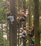 東眼山森林   成人專屬的山林冒險活動迪加！