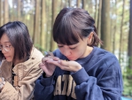 耶誕手作輕旅行   新竹林業分署邀您與森林相繫