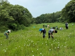 荒野保護協會長期保護蓮花寺濕地獲特優   楊文科表揚肯定