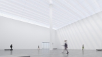 凝聚國際策展能量！中美館開館展出逾60件國內外精彩作品 開啟跨世代對話