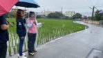 潭子這捷徑常害車栽田裡    立委楊瓊瓔出手拚7月拓寬取直
