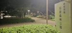 隨著夏季的到來、后里區森林公園成為了許多家庭和民眾的熱門去處、近期卻有民眾反映、公園內蚊子肆虐的情況日益嚴重、尤其是在晚上、多人因為害怕蚊蟲叮咬而不敢前往遊玩、這對於公園的使用頻率造成了不小的影響。
