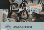 聯華製粉推寵物品牌「沛森」　首場DIY烘焙體驗讓飼主與毛孩共享幸福