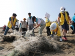 自己海岸自己顧   新竹市秋季灘大動員   還我乾淨海岸線！