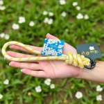 4/18~5/9   新竹縣桐花祭    楊文科邀您一起浪漫桐聚