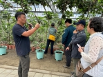 褒忠打造循環農業示範區　黑水虻成廚餘再生關鍵