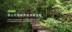 台中沉浸式山林體驗！「雪山坑登山步道」美景線上看
