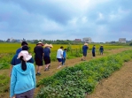 新竹縣「家照開心農場」開場    身障家庭享受在地農園樂