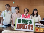 樹倒才處理太慢！民進黨台中市議員陳雅惠促中市府全面盤點高風險樹木