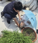 婦人離奇失蹤一夜受困頂樓  太平警靠這「聲音」助脫困