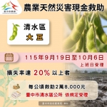 中市清水區大豆災損 10月6日前可申請現金救助