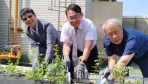 新竹油菊種在新竹郵局   竹郵、竹塹社大、林業分署合力搶救瀕危野花