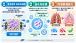 中醫大附醫模擬呼吸訓練幹細胞　對抗「菜瓜布肺」研究登國際期刊 提升外泌體治療關鍵成分含量　動物實驗改善肺纖維化重塑免疫微環境